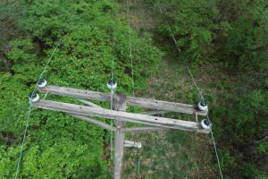 Vegetation management